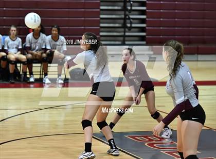 Thumbnail 1 in Pasco @ Wiregrass Ranch photogallery.