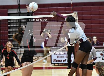 Thumbnail 1 in Pasco @ Wiregrass Ranch photogallery.