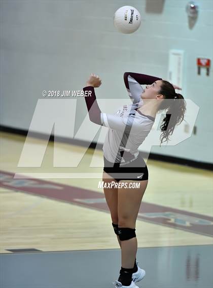Thumbnail 3 in Pasco @ Wiregrass Ranch photogallery.