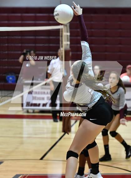 Thumbnail 2 in Pasco @ Wiregrass Ranch photogallery.