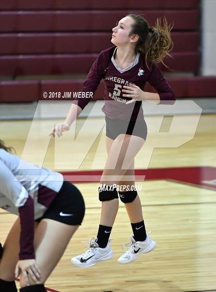 Thumbnail 2 in Pasco @ Wiregrass Ranch photogallery.
