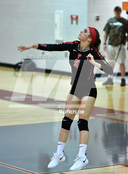 Thumbnail 2 in Pasco @ Wiregrass Ranch photogallery.
