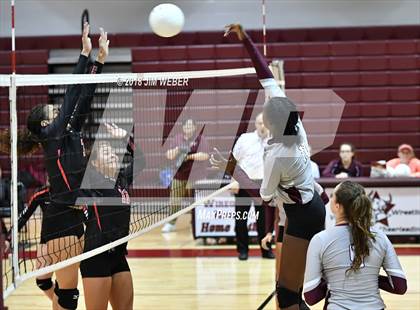 Thumbnail 2 in Pasco @ Wiregrass Ranch photogallery.