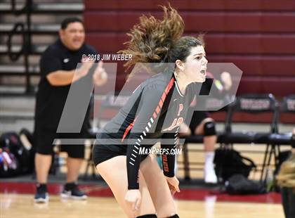 Thumbnail 2 in Pasco @ Wiregrass Ranch photogallery.