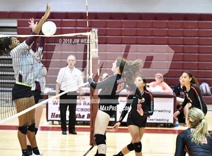 Thumbnail 1 in Pasco @ Wiregrass Ranch photogallery.