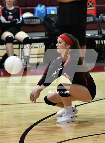 Thumbnail 2 in Pasco @ Wiregrass Ranch photogallery.