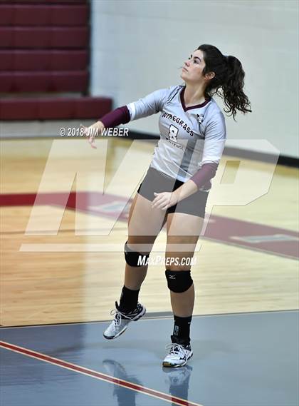 Thumbnail 1 in Pasco @ Wiregrass Ranch photogallery.