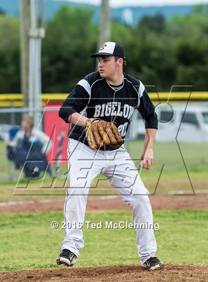 Thumbnail 3 in Hector @ Bigelow photogallery.