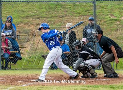 Thumbnail 1 in Hector @ Bigelow photogallery.