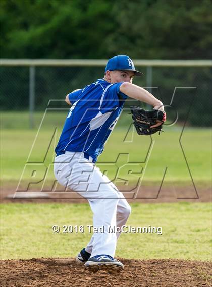 Thumbnail 2 in Hector @ Bigelow photogallery.