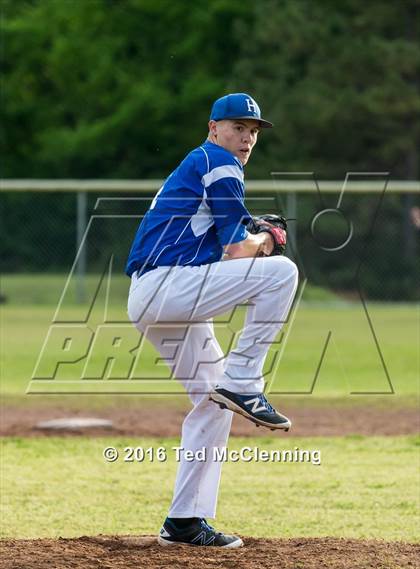 Thumbnail 3 in Hector @ Bigelow photogallery.