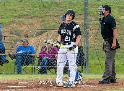 Thumbnail 2 in Hector @ Bigelow photogallery.