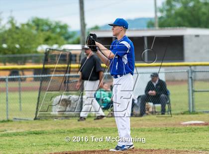 Thumbnail 3 in Hector @ Bigelow photogallery.
