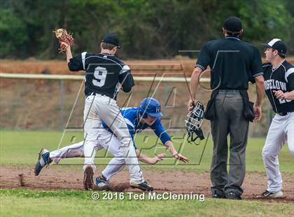 Thumbnail 2 in Hector @ Bigelow photogallery.