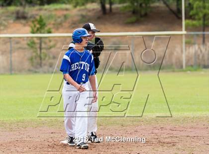 Thumbnail 1 in Hector @ Bigelow photogallery.
