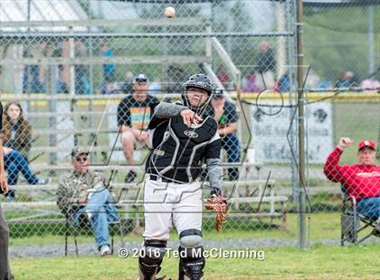 Thumbnail 1 in Hector @ Bigelow photogallery.