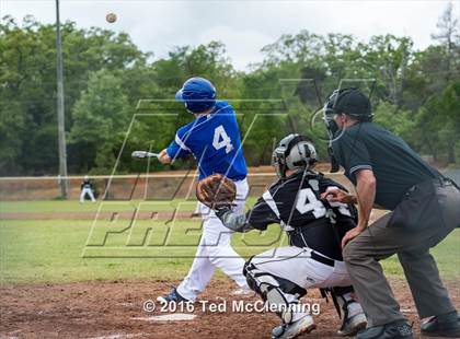 Thumbnail 3 in Hector @ Bigelow photogallery.