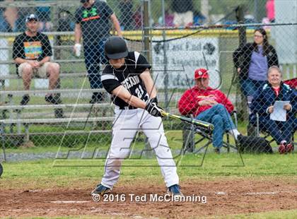 Thumbnail 3 in Hector @ Bigelow photogallery.