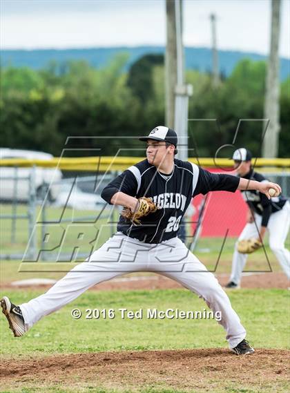 Thumbnail 3 in Hector @ Bigelow photogallery.