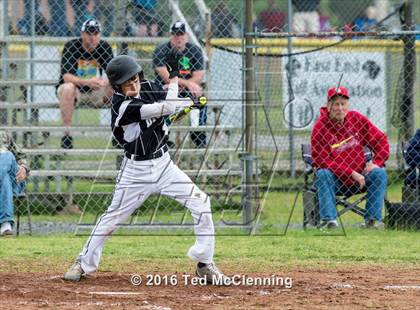 Thumbnail 2 in Hector @ Bigelow photogallery.