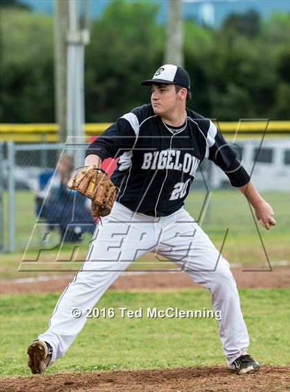 Thumbnail 1 in Hector @ Bigelow photogallery.