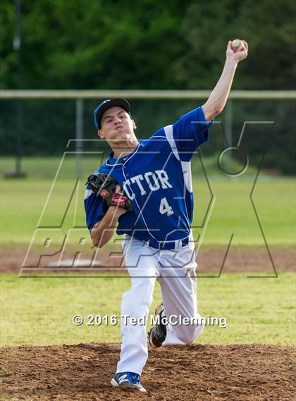 Thumbnail 1 in Hector @ Bigelow photogallery.