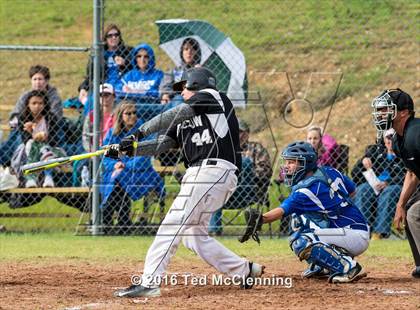 Thumbnail 1 in Hector @ Bigelow photogallery.