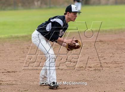Thumbnail 3 in Hector @ Bigelow photogallery.
