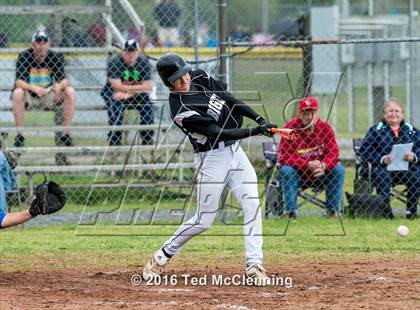 Thumbnail 3 in Hector @ Bigelow photogallery.