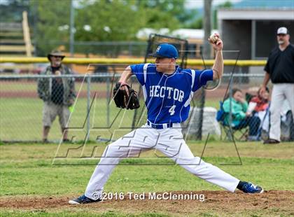 Thumbnail 2 in Hector @ Bigelow photogallery.