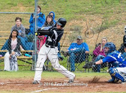 Thumbnail 3 in Hector @ Bigelow photogallery.