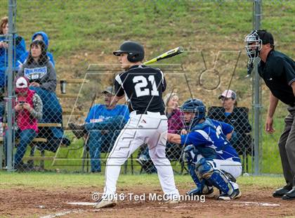 Thumbnail 1 in Hector @ Bigelow photogallery.