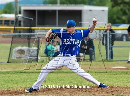 Thumbnail 1 in Hector @ Bigelow photogallery.