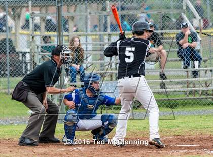 Thumbnail 3 in Hector @ Bigelow photogallery.