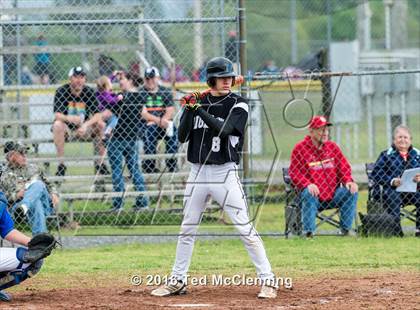 Thumbnail 3 in Hector @ Bigelow photogallery.