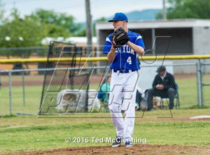 Thumbnail 2 in Hector @ Bigelow photogallery.