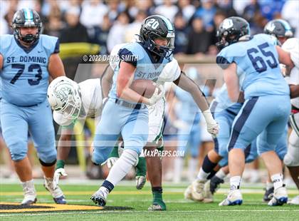 Thumbnail 3 in St. Dominic vs. St. Mary's (MSHSAA Class 4 Championship) photogallery.