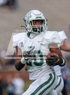 Photo from the gallery "St. Dominic vs. St. Mary's (MSHSAA Class 4 Championship)"