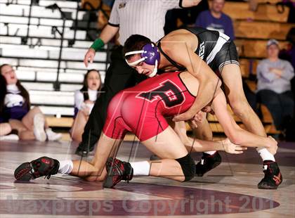 Thumbnail 3 in Pomona @ Arvada West photogallery.