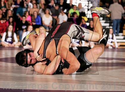 Thumbnail 3 in Pomona @ Arvada West photogallery.