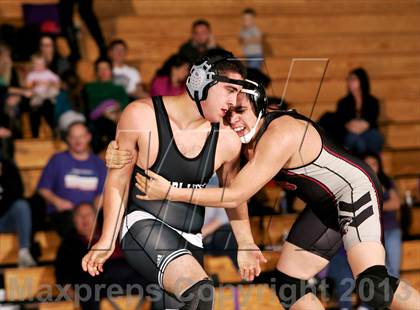 Thumbnail 3 in Pomona @ Arvada West photogallery.
