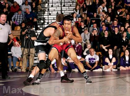 Thumbnail 3 in Pomona @ Arvada West photogallery.