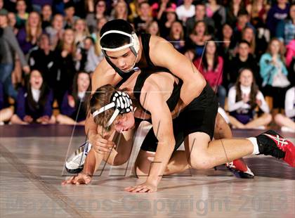 Thumbnail 3 in Pomona @ Arvada West photogallery.