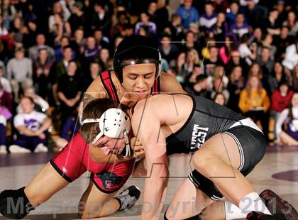 Thumbnail 3 in Pomona @ Arvada West photogallery.