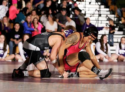 Thumbnail 2 in Pomona @ Arvada West photogallery.