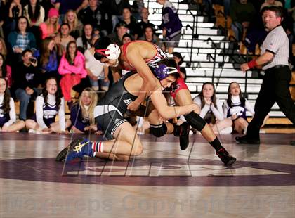 Thumbnail 3 in Pomona @ Arvada West photogallery.