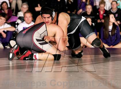 Thumbnail 3 in Pomona @ Arvada West photogallery.