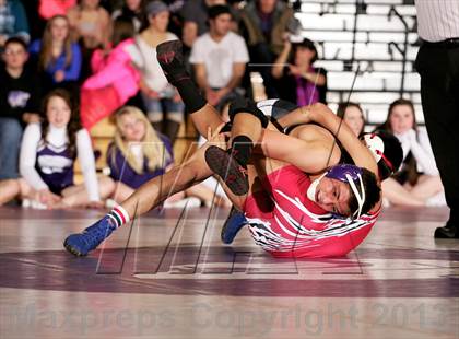 Thumbnail 3 in Pomona @ Arvada West photogallery.