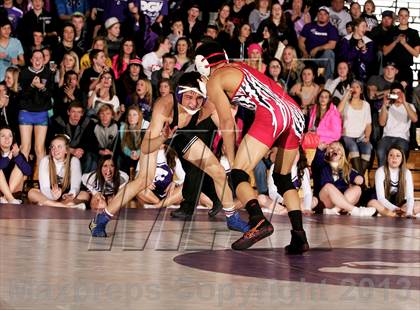 Thumbnail 1 in Pomona @ Arvada West photogallery.