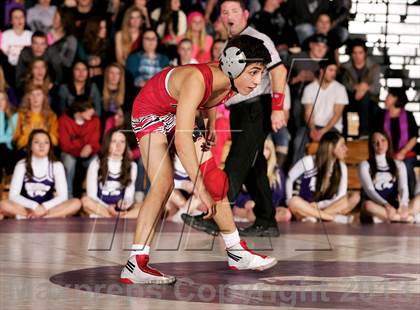 Thumbnail 1 in Pomona @ Arvada West photogallery.